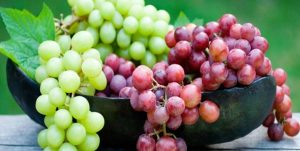 افزایش ۲۰ درصدی تولید انگور در سمنان/ طرح «فراز» در تاکستان‌ها اجرا می‌شود