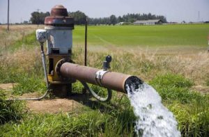 بهره‌وری آب کشاورزی در استان سمنان از ۳۱ درصد افزایش یابد