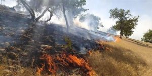 هشدار آتش‌سوزی در مراتع و جنگل‌های سمنان