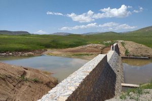 صدور طرح مرتعداری برای میلیون و ۵۰۰ هزار هکتار از اراضی استان سمنان