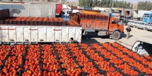 افزایش ۲۳ درصدی صادرات در استان سمنان