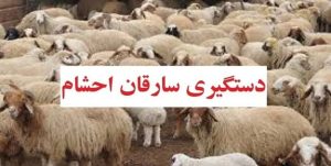 سارقان احشام در سرخه به دام افتادند/ دستگیری ۳ تبعه خارجی