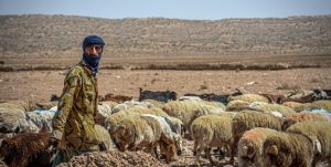 نماینده رهبری: رفع مشکلات عشایر ضرورت دارد