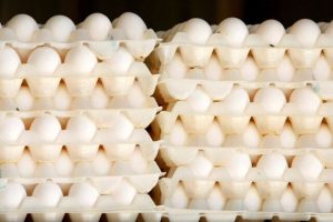 توقیف ۹ تن تخم مرغ فاقد مجوز در سرخه