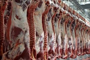 ۳ تن گوشت فاقد مجوز در سرخه کشف شد
