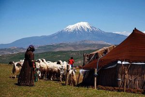 عشایر در ۵۹ درصد از گستره جغرافیای کشور قلمرو دارند/ آبرسانی سیار به عشایر سمنان