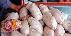 رئیس جهاد کشاورزی سمنان: نگران تأمین مرغ نیستیم/ سمنان نیاز پایتخت را تأمین می‌کند