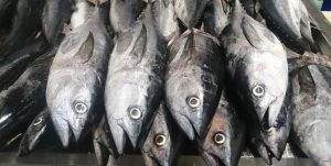 سرانه مصرف ماهی در استان سمنان ۱۰ برابر شد