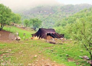 ساماندهی کوچ بهاره سال ۱۴۰۴ در استان سمنان