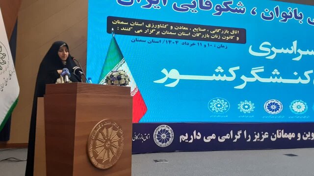 معاون امور زنان و خانواده رئیس‌جمهور با تأکید بر رفع تبعیض‌های نانوشته در حوزه اقتصادی زنان، بر لزوم راه‌اندازی شرکت‌های واسطه صادرات به منظور حمایت از تولیدات زنان و توسعه بازار تاکید کرد.