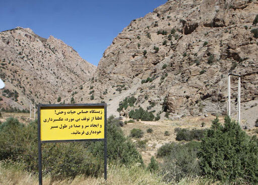 رئیس اداره محیط زیست مهدیشهر اعلام کرد که ورود دام مازاد به مراتع حفاظت شده پرور ممنوع است و گشت‌های مشترک برای کنترل و حذف دام‌های اضافی با همکاری منابع طبیعی و نیروی انتظامی در این منطقه فعال شده‌اند.