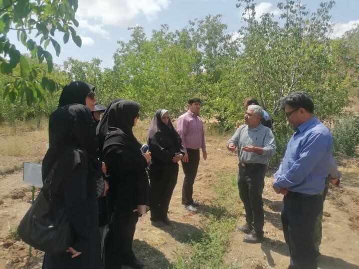 ۲۵۰ زن روستایی دامغان با عضویت در صندوق‌های اعتباری خرد، گام مهمی برای توسعه اشتغال و رونق اقتصادی روستاهای این شهرستان برداشتند.